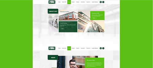 雷士光電官方網(wǎng)站建設(shè)項(xiàng)目 構(gòu)建專業(yè)數(shù)字門戶，照亮品牌未來(lái)